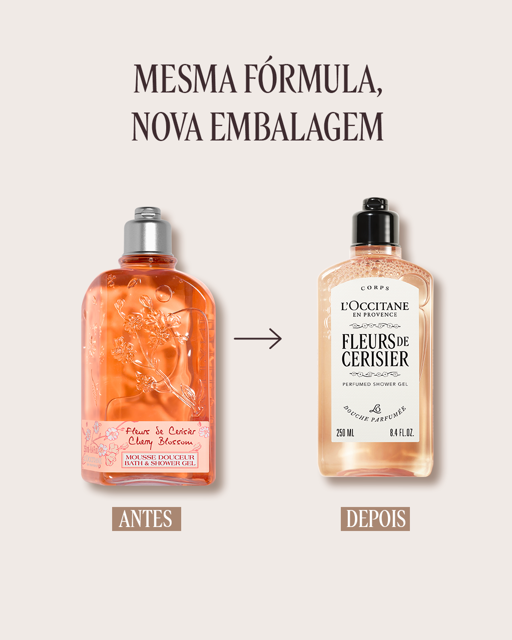 Sabonete Líquido Corporal Perfumado Fleurs de Cerisier 250mL (Flor